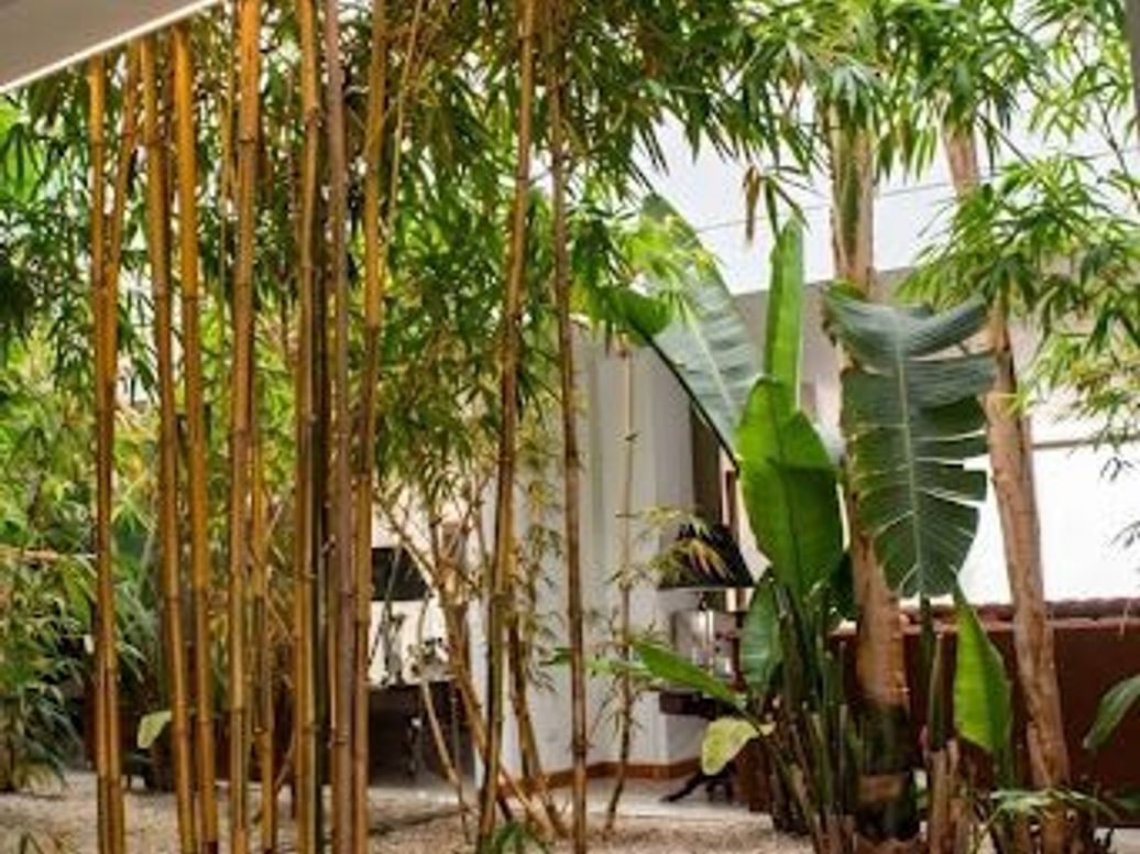 Casa de 5 alcobas en venta en Santa Ana Occidental, Bogotá, 550 m² · foto 2 de 20