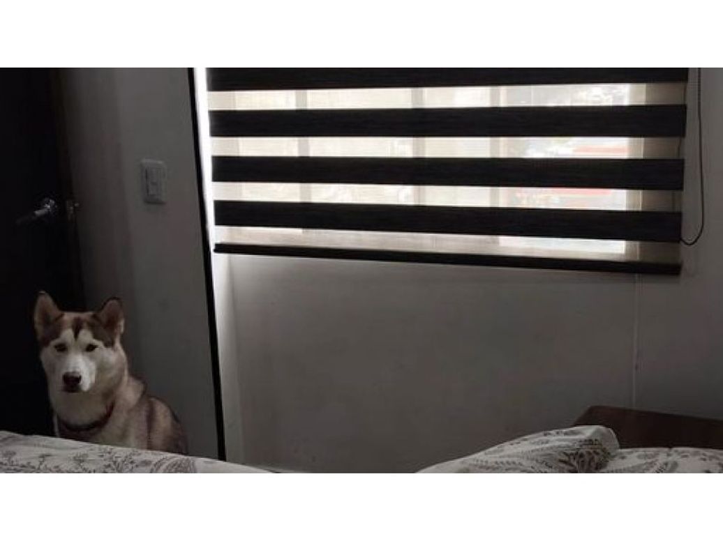 Apartamento de 3 alcobas en venta en Batavia, Bogotá, 46 m² · foto 6 de 9