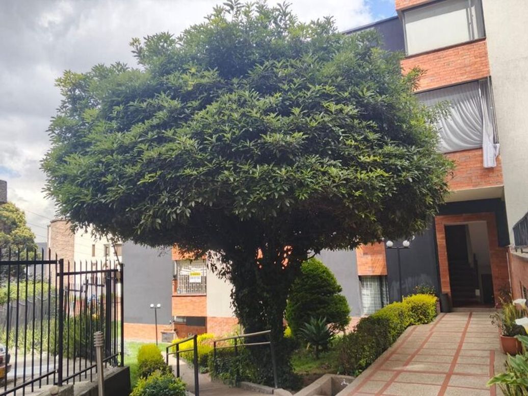 Apartamento de 3 alcobas en venta en María Cristina, Bogotá, 180 m² · foto 11 de 20