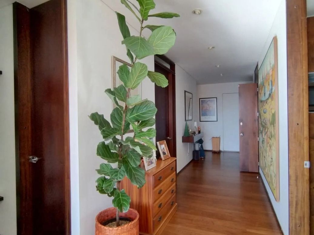 Apartamento de 2 alcobas en arriendo en Bellavista, Bogotá, 156 m² · foto 6 de 19