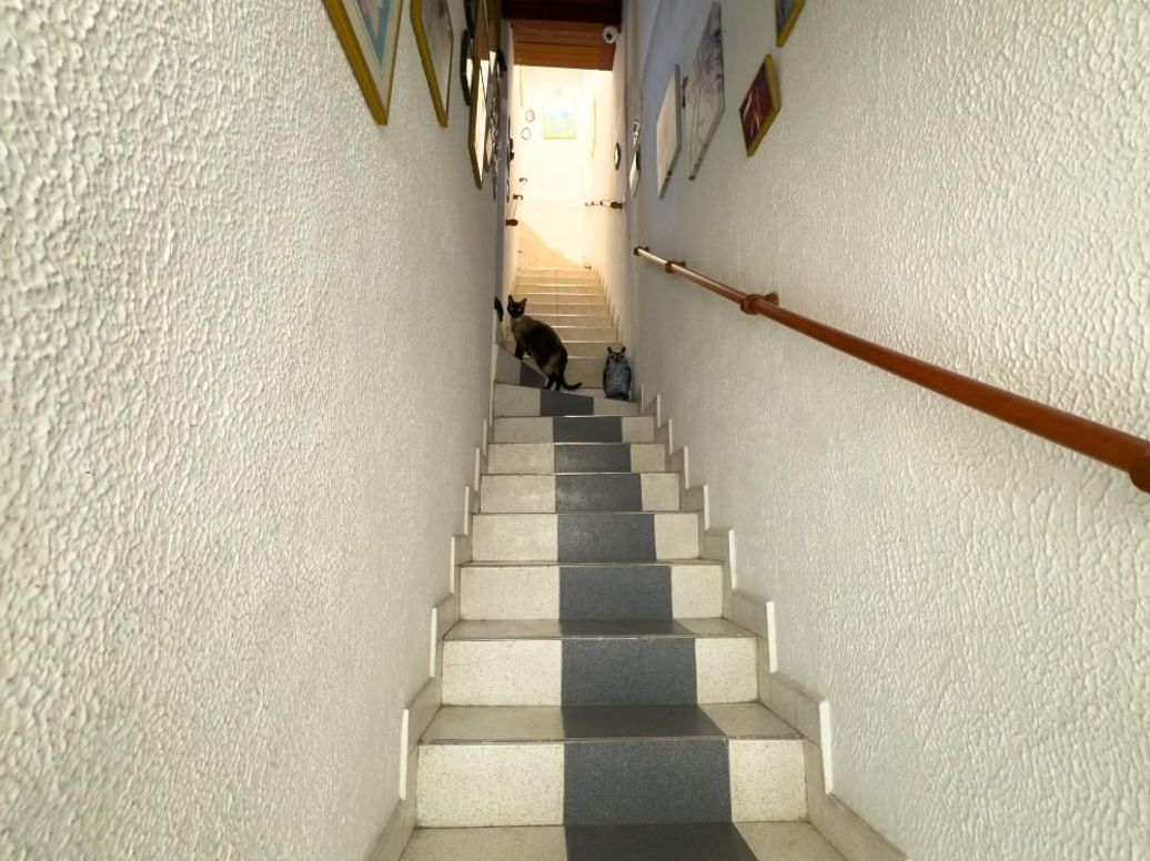 Casa de 6 alcobas en venta en Carvajal, Bogotá, 244 m² · foto 10 de 20