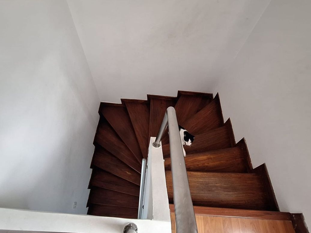 Casa de 3 alcobas en venta en Estrella Del Norte, Bogotá, 157 m² · foto 17 de 20