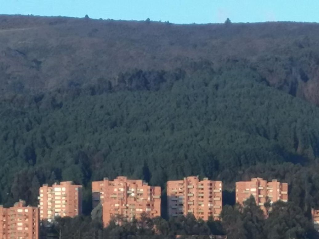 Apartamento de 4 alcobas en venta en Sierras Del Moral, Bogotá, 256 m² · foto 18 de 19