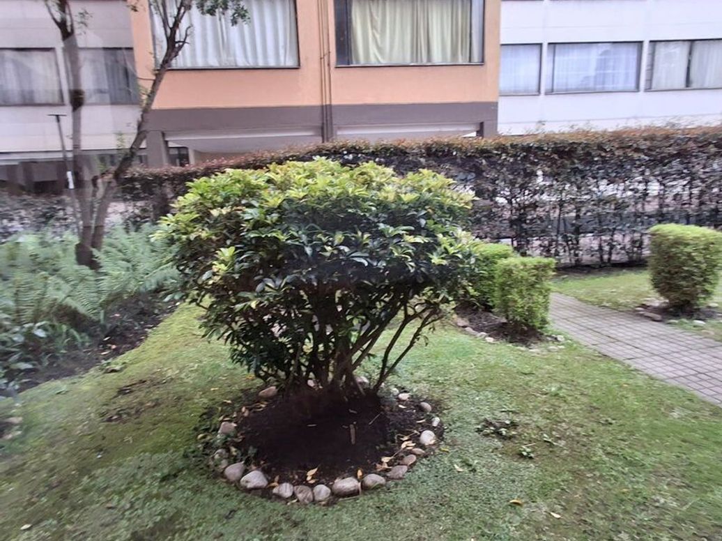 Apartamento de 5 alcobas en venta en Villa Del Mar, Bogotá, 30 m² · foto 20 de 20