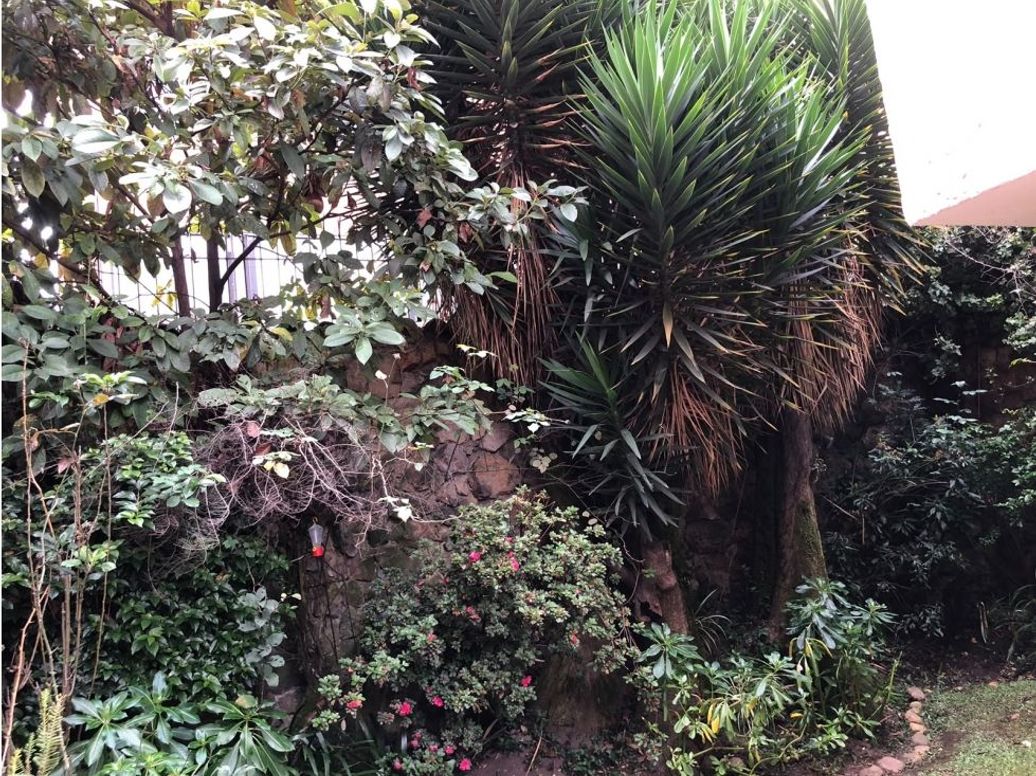 Casa de 5 alcobas en venta en San Patricio, Bogotá, 318 m² · foto 12 de 20