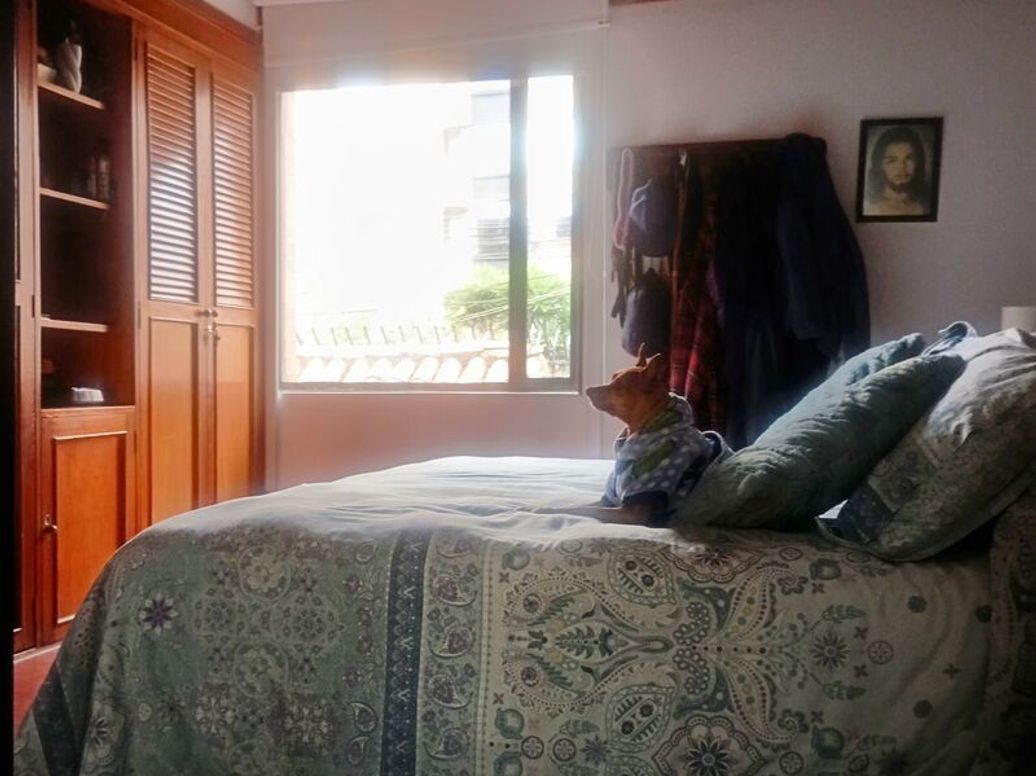 Casa de 3 alcobas en venta en Caobos Salazar, Bogotá, 121 m² · foto 10 de 20