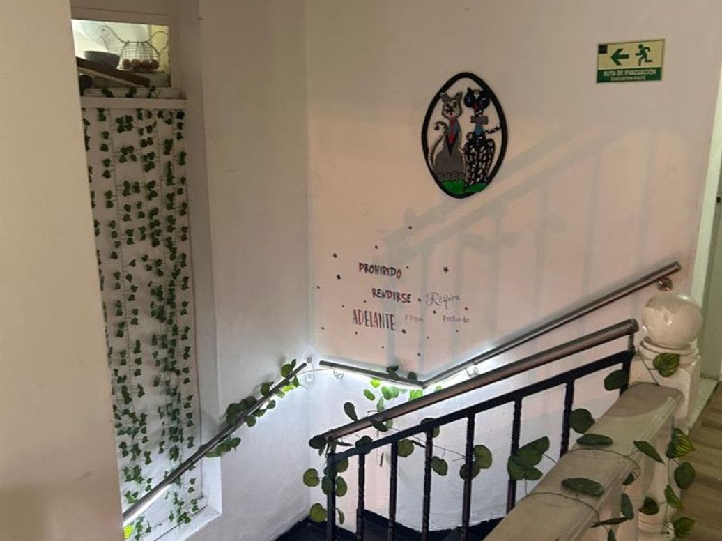 Casa de 3 alcobas en venta en Marly, Bogotá, 280 m² · foto 9 de 15