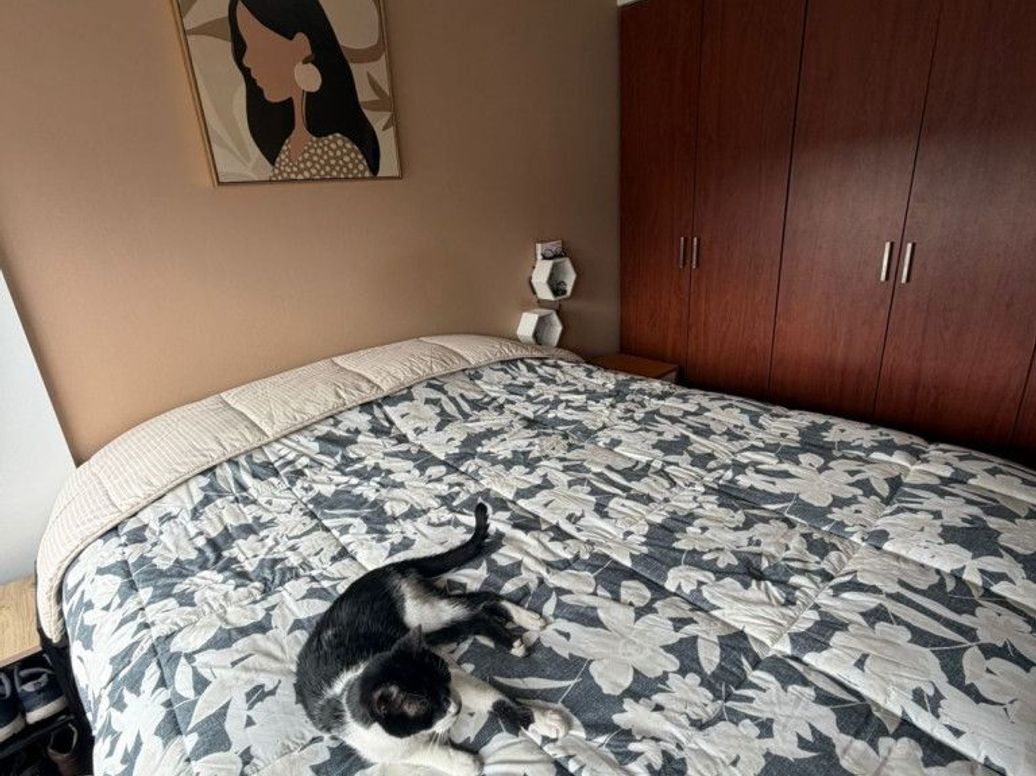 Apartamento de 2 alcobas en venta en Chicó Norte, Bogotá, 75 m² · foto 11 de 20