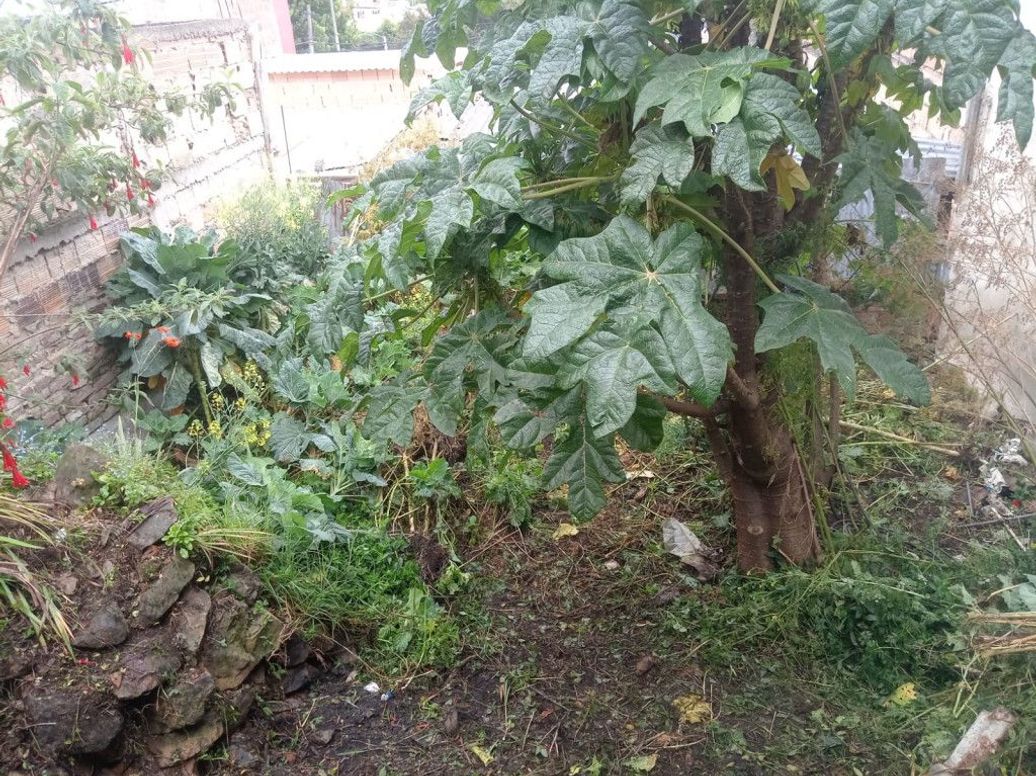 Casa de 2 alcobas en venta en Los Libertadores El Tesoro, Bogotá, 25 m² · foto 6 de 8