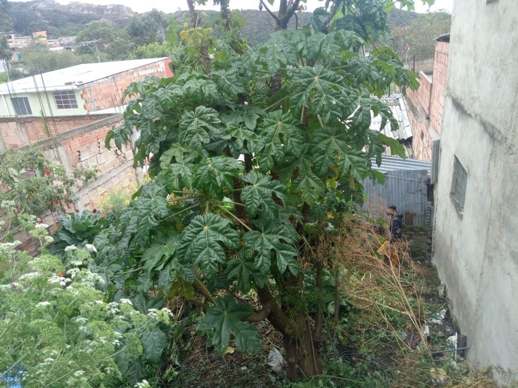 Casa de 2 alcobas en venta en Los Libertadores El Tesoro, Bogotá, 25 m² · foto 7 de 8