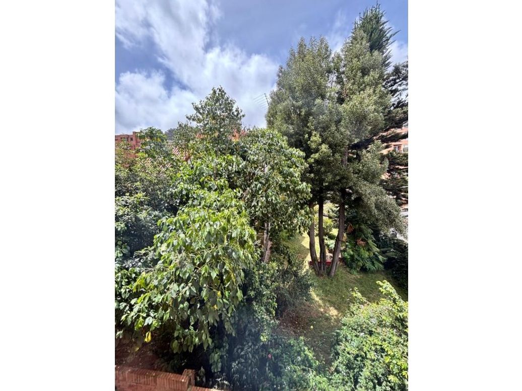 Apartamento de 3 alcobas en venta en Rosales Bajo, Bogotá, 180 m² · foto 2 de 20