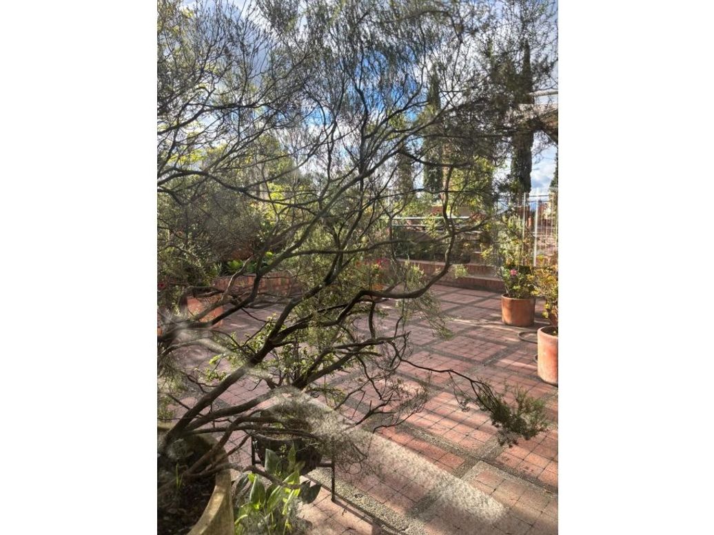 Apartamento en venta en Los Rosales, Bogotá · foto 12 de 16