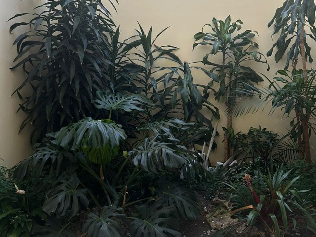 Casa de 4 alcobas en venta en Santa Barbara Alta, Bogotá, 532 m² · foto 2 de 20