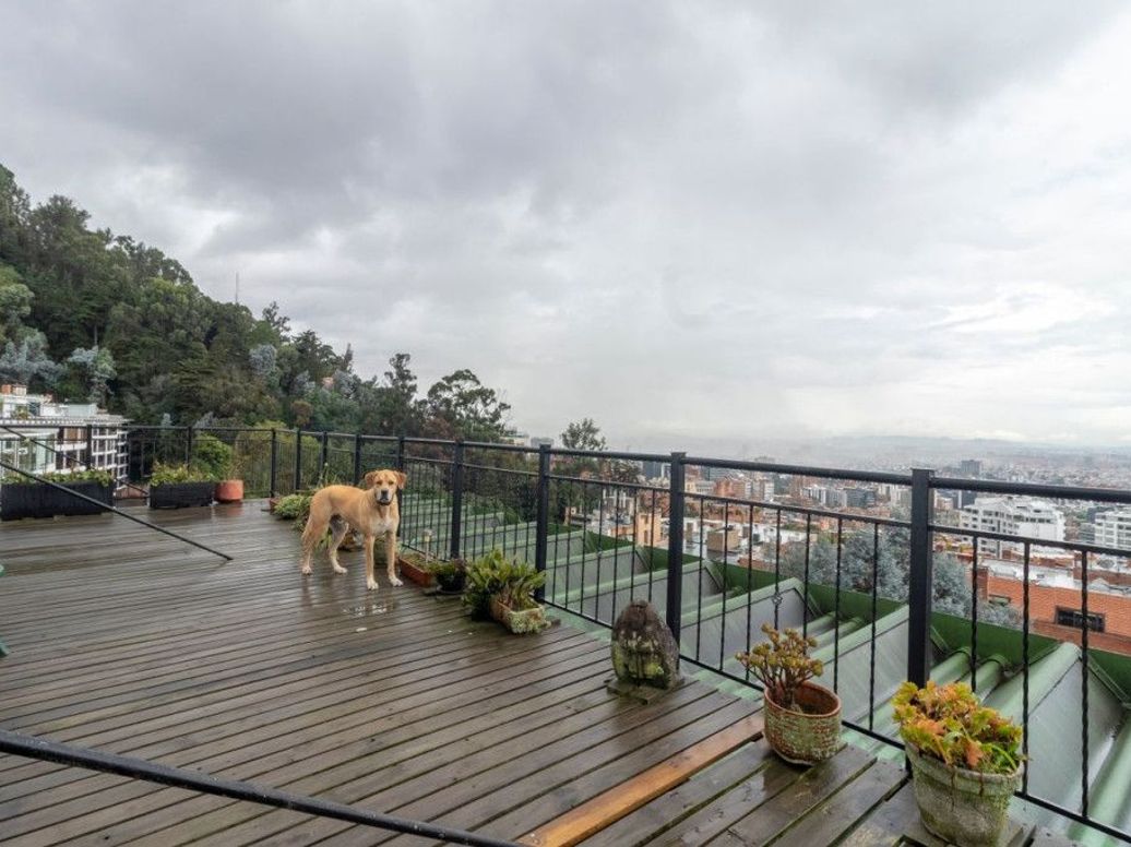 Apartamento de 3 alcobas en venta en Los Rosales, Bogotá, 271 m² · foto 16 de 20