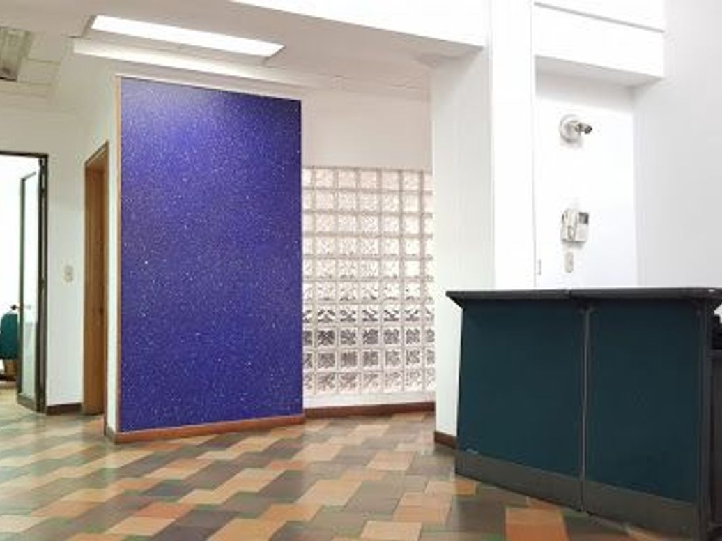 Casa de 11 alcobas en venta en Teusaquillo, Bogotá, 452 m² · foto 4 de 20