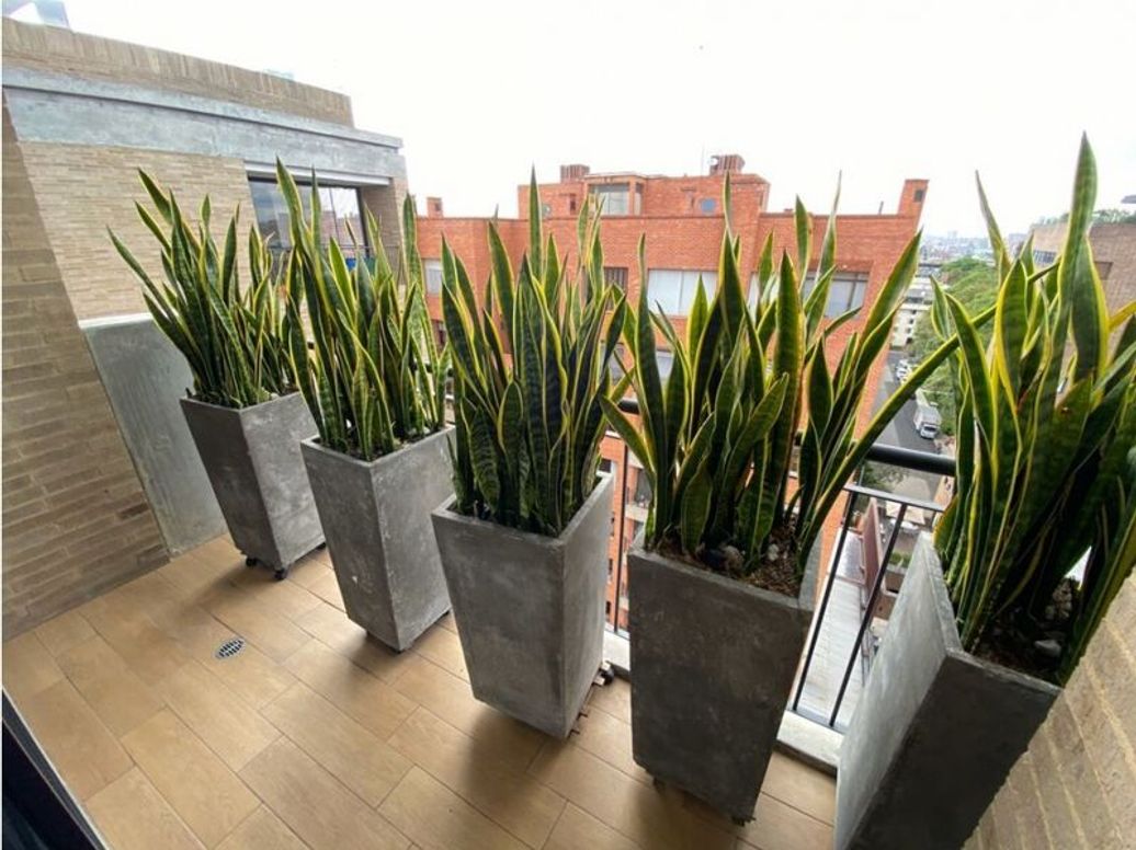 Apartamento de 2 alcobas en venta en Chicó Norte, Bogotá, 200 m² · foto 5 de 20