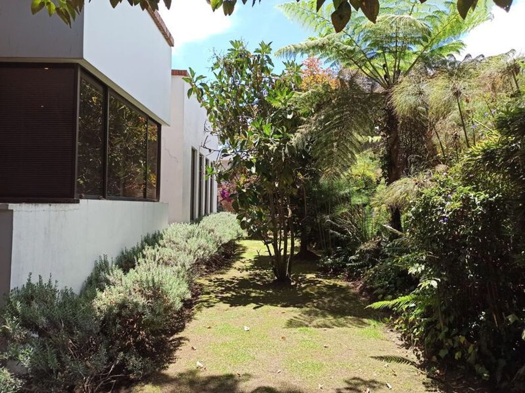 Casa de 4 alcobas en venta en Viveros, Bogotá, 349 m² · foto 8 de 20