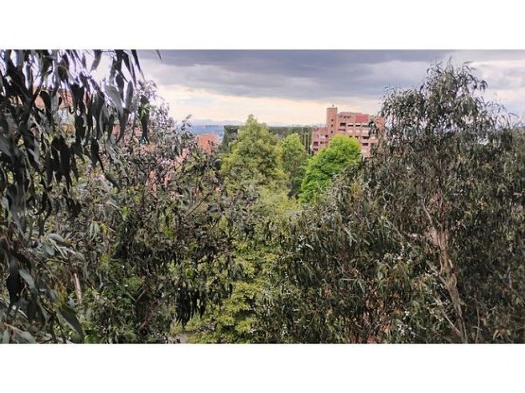 Apartamento de 2 alcobas en venta en Los Rosales, Bogotá, 150 m² · foto 13 de 20