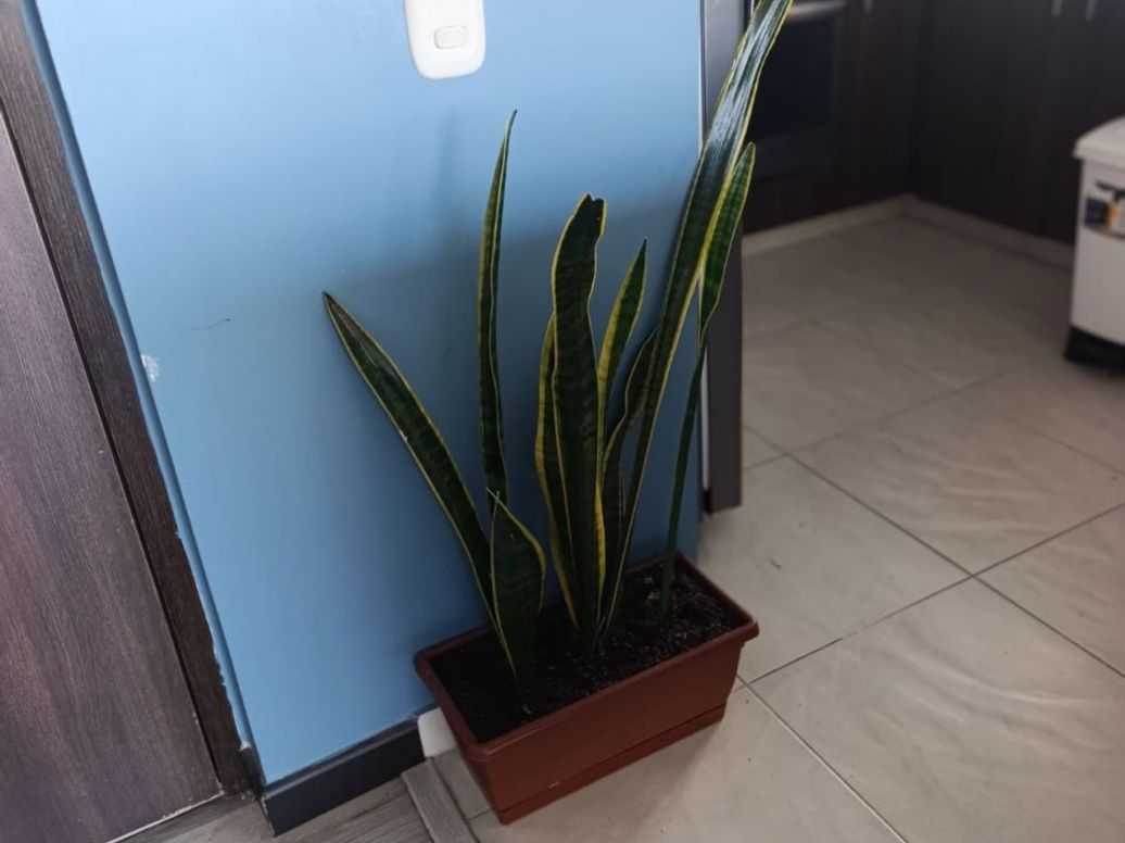 Apartamento en venta en Campo Alegre, Bogotá · foto 14 de 20