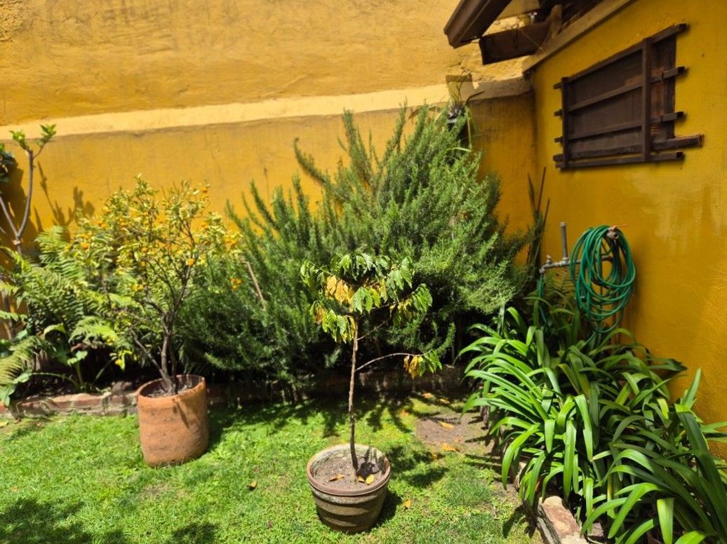 Apartamento de 4 alcobas en venta en Cedritos, Bogotá, 256 m² · foto 3 de 20