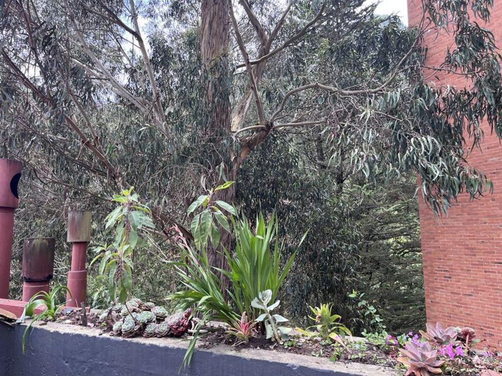 Apartamento de 2 alcobas en venta en Bellavista, Bogotá, 80 m² · foto 9 de 15