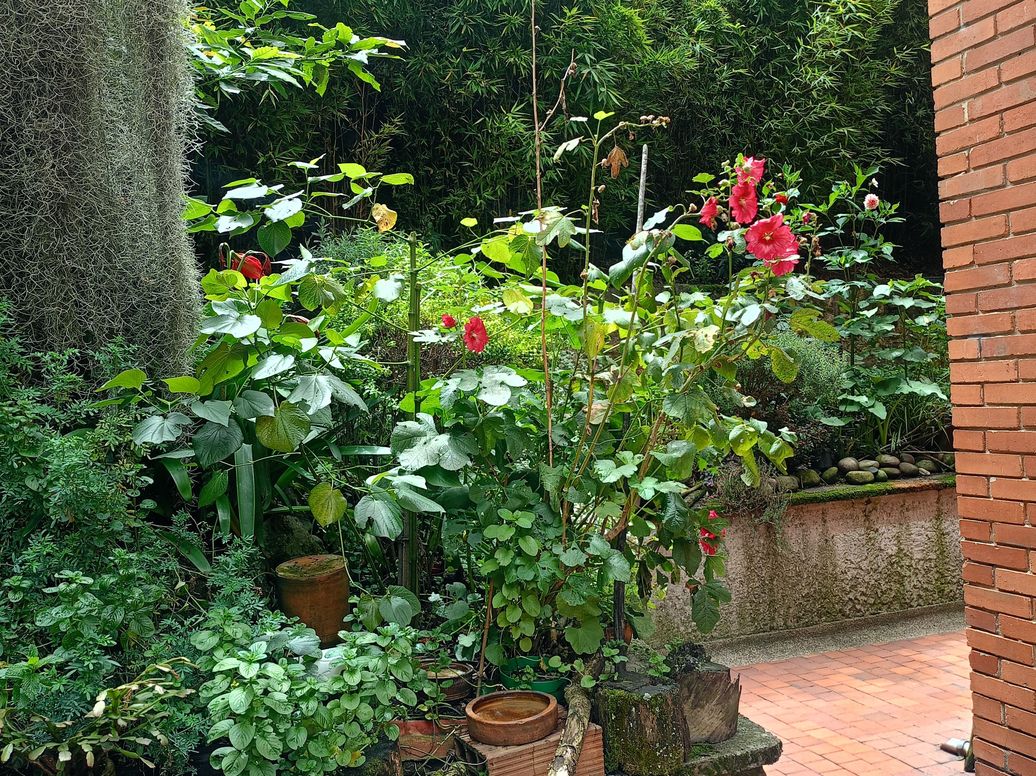 Apartamento de 3 alcobas en venta en Los Rosales, Bogotá, 110 m² · foto 19 de 20