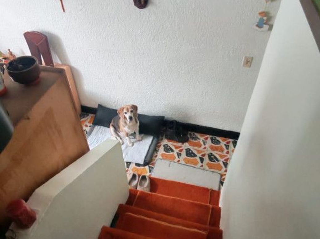 Casa en venta en Las Nieves, Bogotá · foto 10 de 15