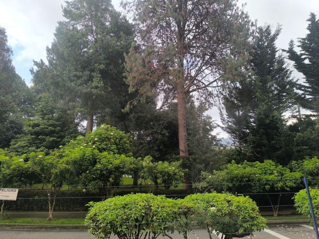 Casa de 4 alcobas en venta en Cedro Salazar, Bogotá, 112 m² · foto 5 de 20
