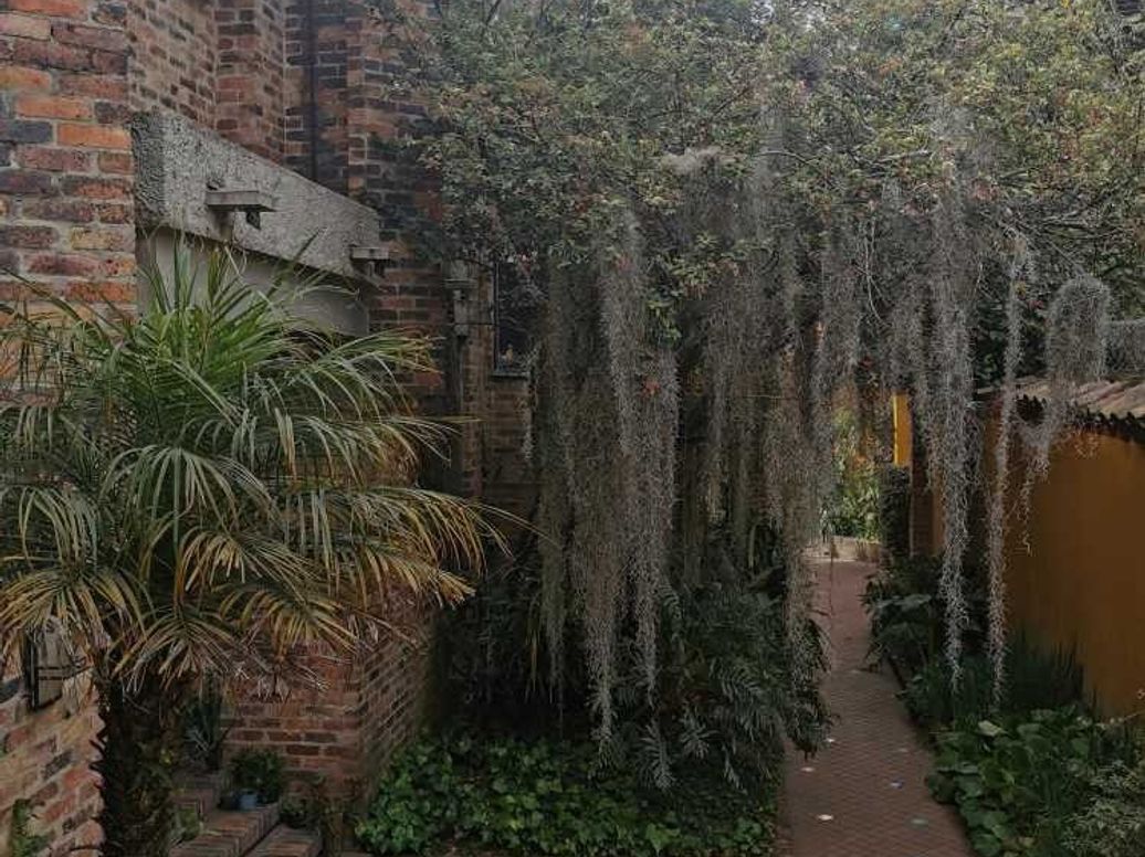 Casa de 3 alcobas en venta en San Patricio, Bogotá, 165 m² · foto 2 de 20