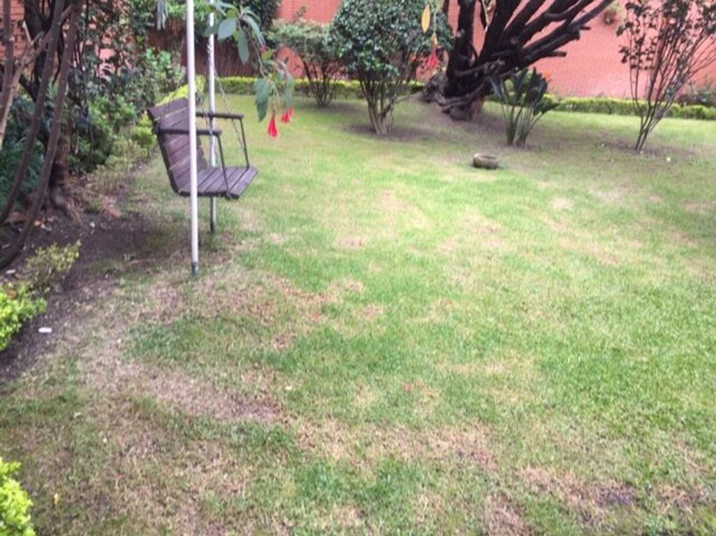 Casa de 4 alcobas en venta en San Patricio, Bogotá, 462 m² · foto 7 de 16