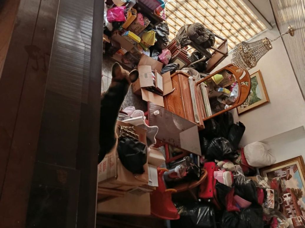 Casa en arriendo en Quinta Paredes, Bogotá · foto 18 de 20