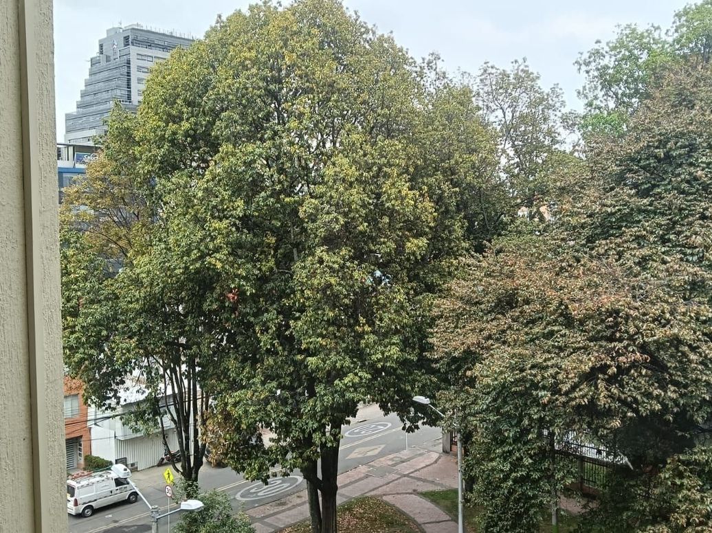 Apartamento de 3 alcobas en venta en La Castellana, Bogotá, 116 m² · foto 4 de 20
