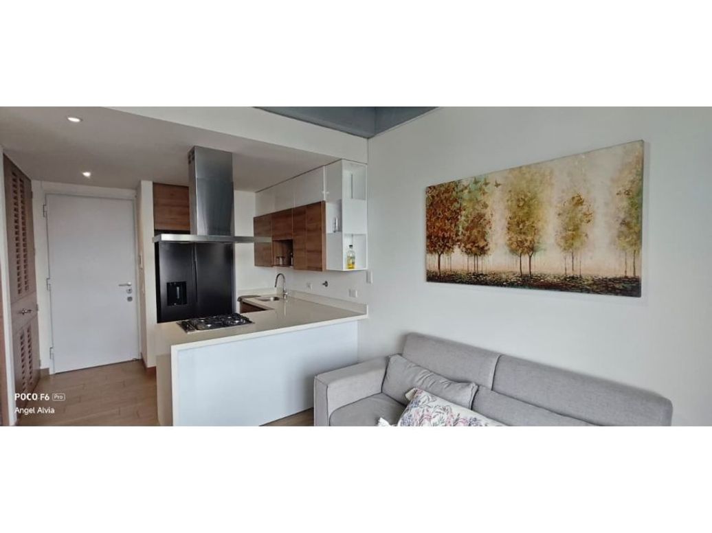 Apartaestudio Amoblado En Arriendo Sector Ciudad Del Rio en Ciudad Del Río