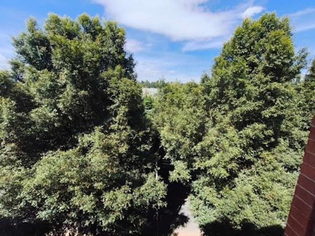 Apartamento de 4 alcobas en venta en Ub. El Cortijo, Bogotá, 66 m² · foto 4 de 20