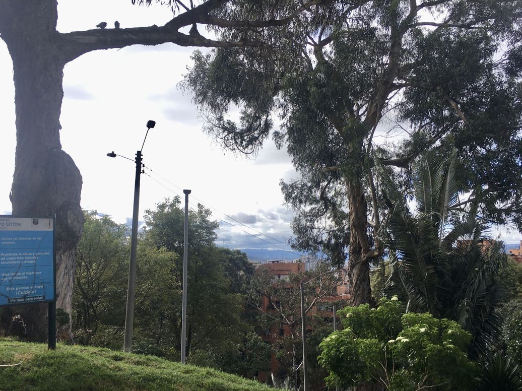 Apartamento de 1 alcoba en arriendo en María Cristina, Bogotá, 55 m² · foto 15 de 17