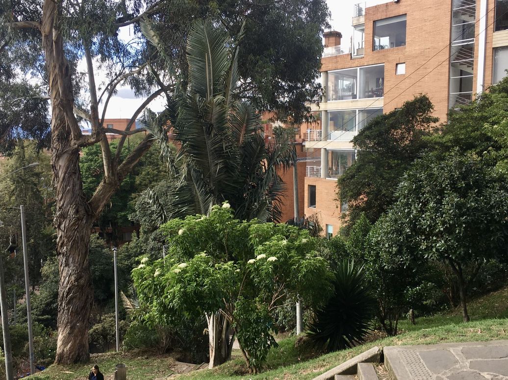 Apartamento de 1 alcoba en arriendo en María Cristina, Bogotá, 55 m² · foto 14 de 17