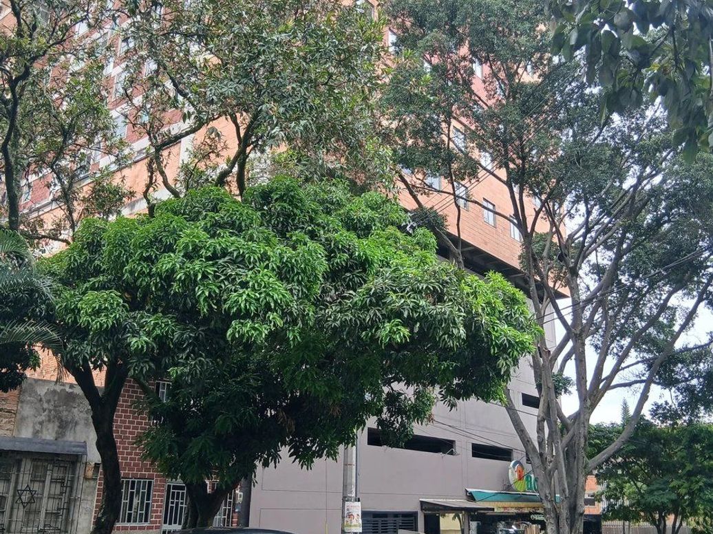 Apartamento en arriendo, Prado en Prado