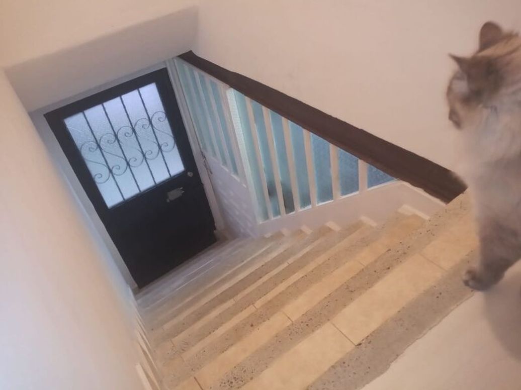 Casa de 9 alcobas en venta en Las Guacamayas, Bogotá, 250 m² · foto 4 de 7