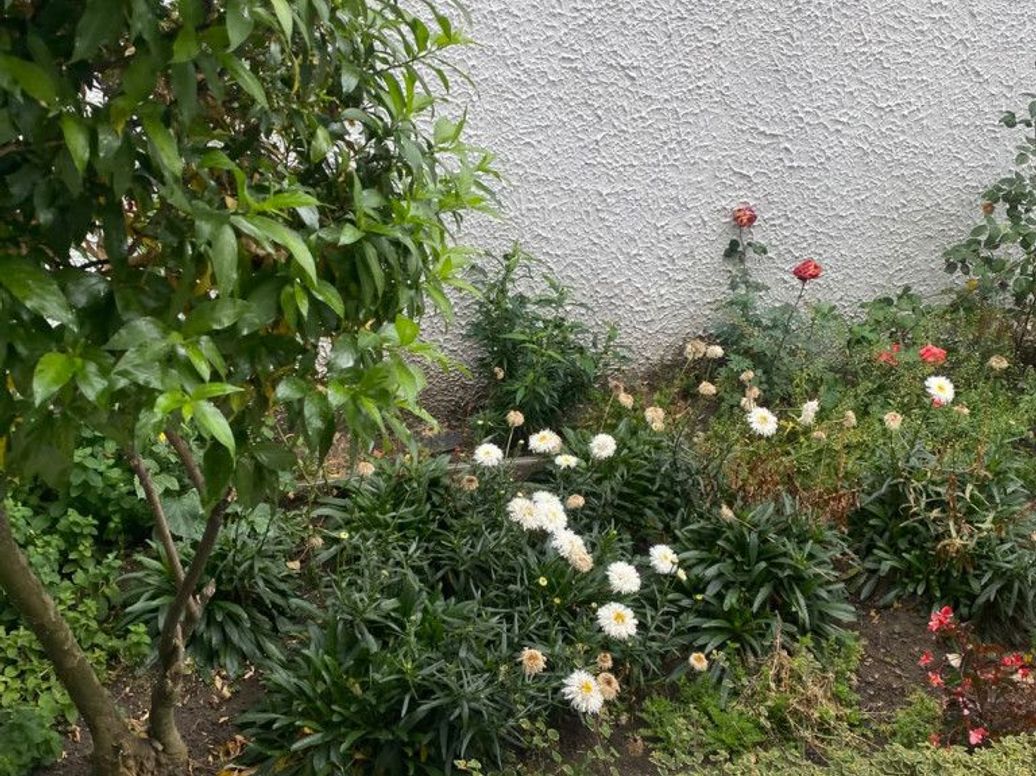 Casa de 4 alcobas en venta en Villa Magdala, Bogotá, 220 m² · foto 3 de 20