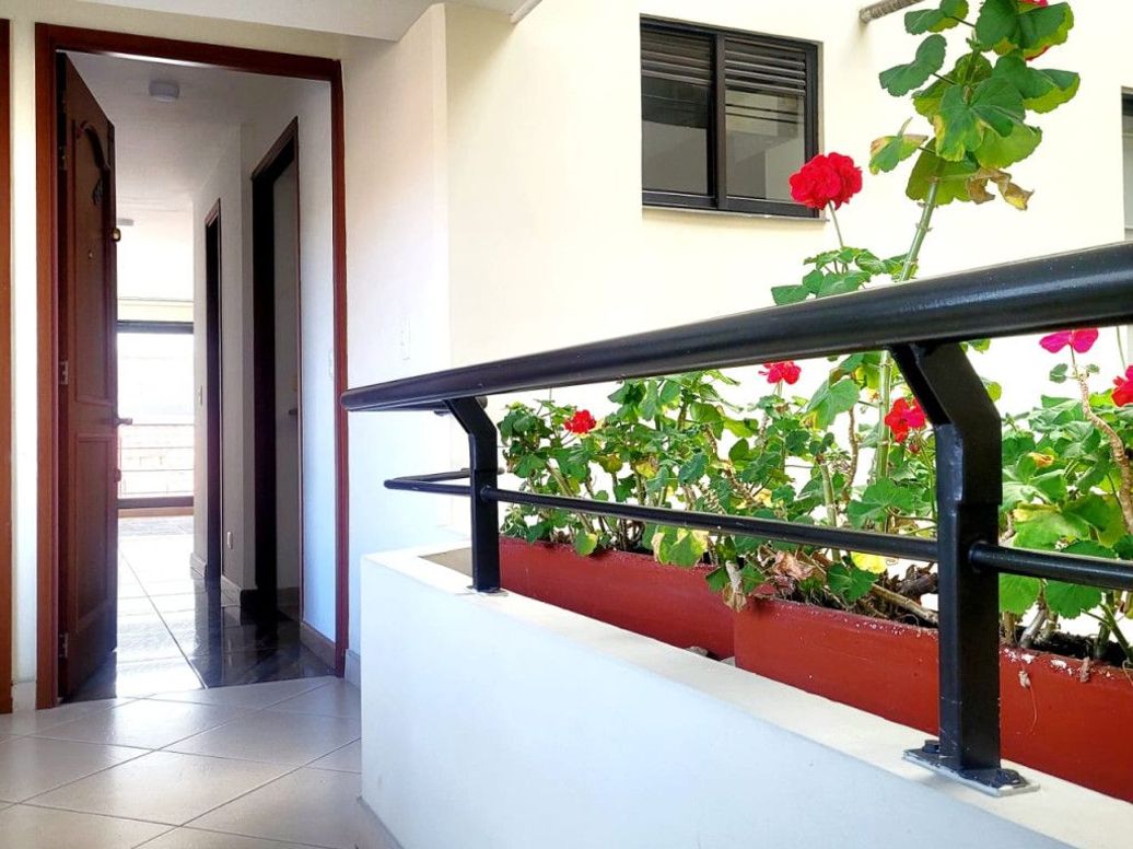 Apartaestudio en arriendo en Estrella Del Norte, Bogotá, 35 m² · foto 3 de 17