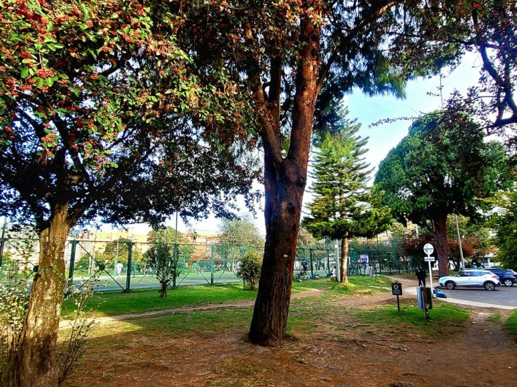 Apartaestudio en arriendo en Estrella Del Norte, Bogotá, 35 m² · foto 15 de 17