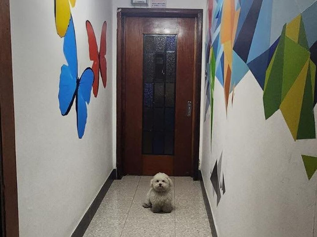 Casa de 24 alcobas en venta en La Veracruz, Bogotá, 720 m² · foto 7 de 20