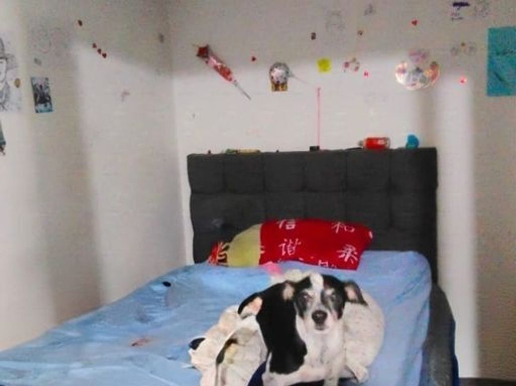 Casa de 7 alcobas en venta en Bonanza, Bogotá, 360 m² · foto 9 de 20