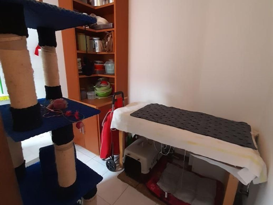 Apartamento de 3 alcobas en venta en San José Del Prado, Bogotá, 156 m² · foto 8 de 20