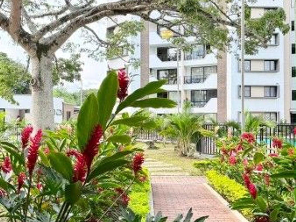 Apartamento en arriendo, Valle de lili en Valle De Lili