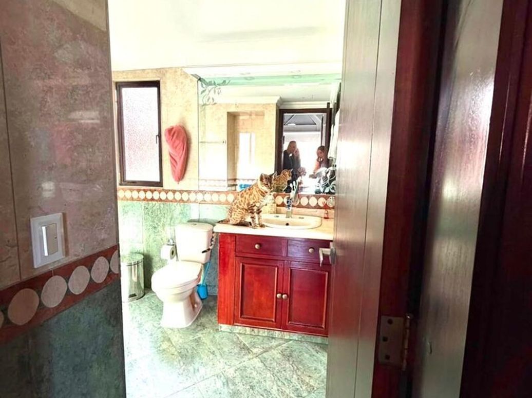 Casa de 4 alcobas en venta en Cr El Cerezal De San Luis, Bogotá, 204 m² · foto 15 de 20