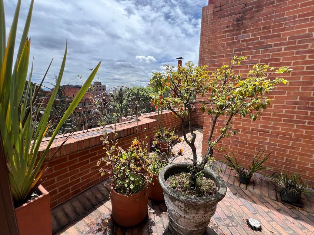 Apartamento de 4 alcobas en venta en Las Acacias, Bogotá, 493 m² · foto 16 de 20