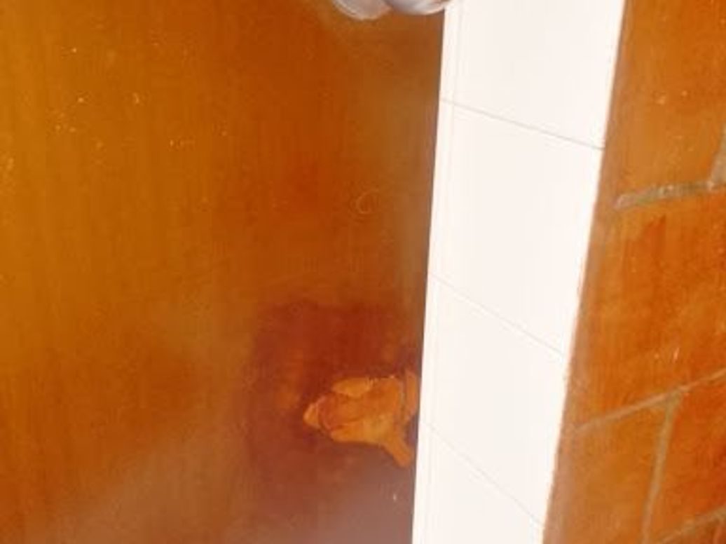 Apartamento en arriendo en Ub. De La Sabana, Bogotá · foto 8 de 15