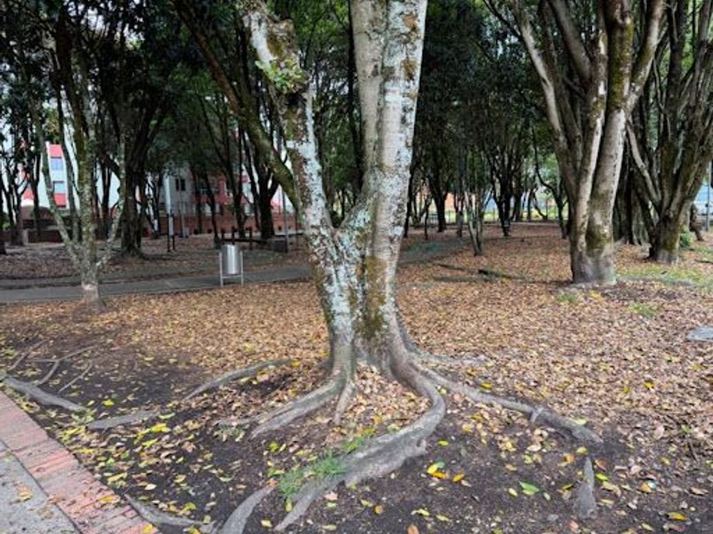 Apartamento de 3 alcobas en venta en Icata, Bogotá, 76 m² · foto 18 de 20