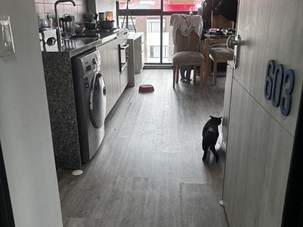 Apartamento de 1 alcoba en venta en Cedro Bolívar, Bogotá, 31 m² · foto 3 de 15